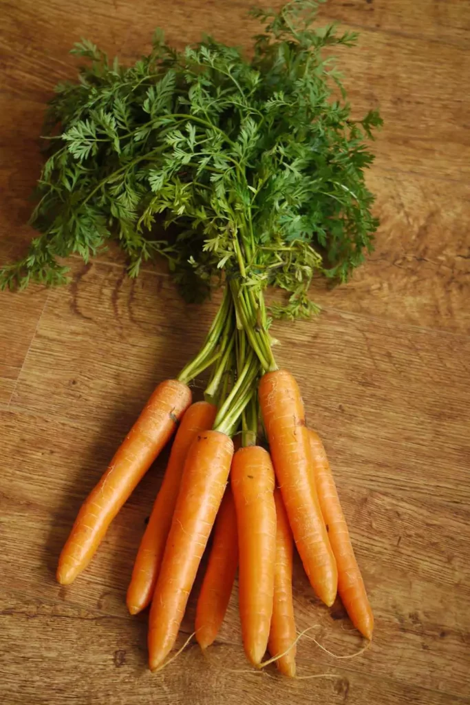 Carrots