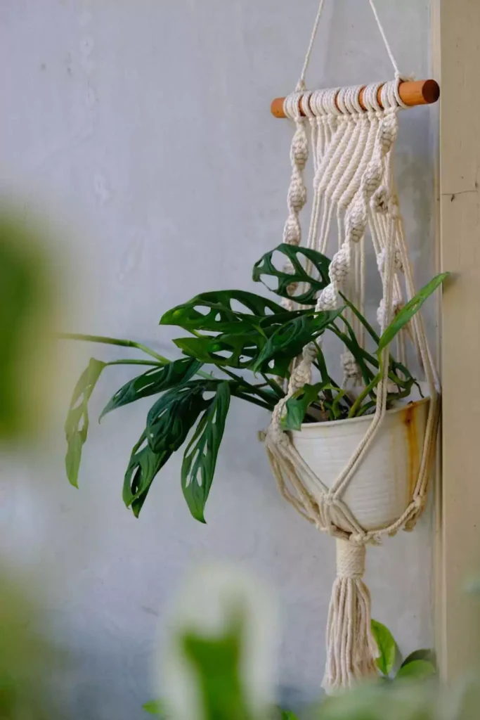 Macrame Wall Hanger