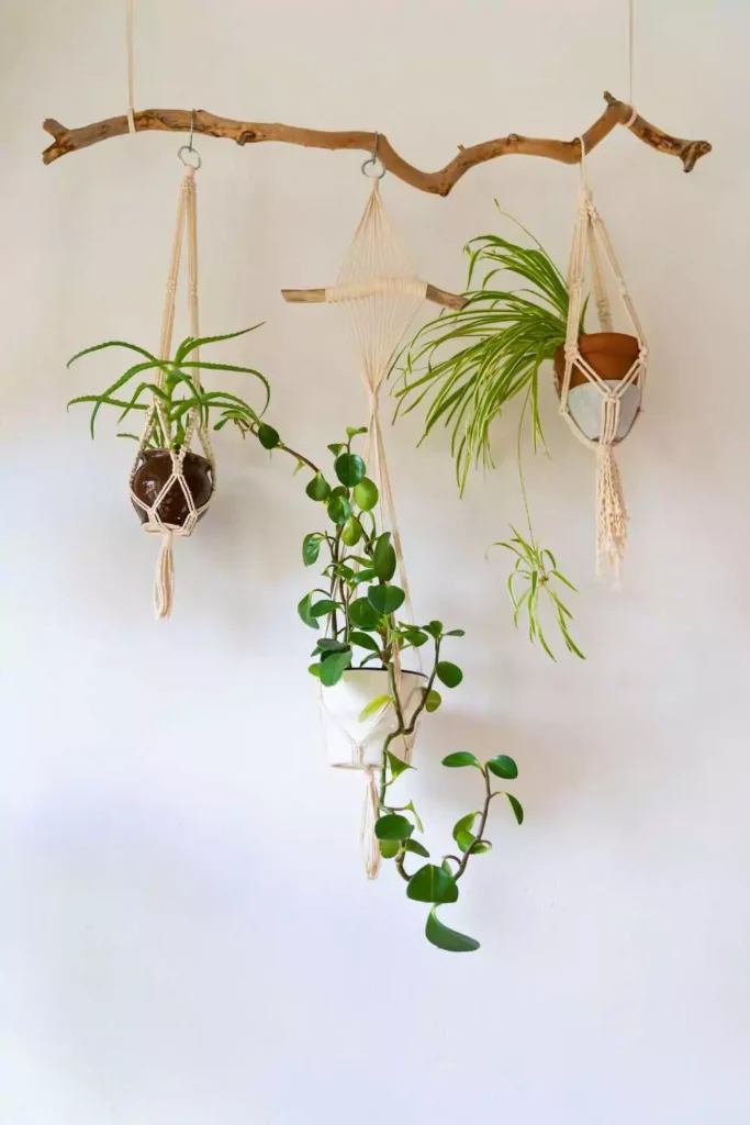 Add Hanging Herb Planters