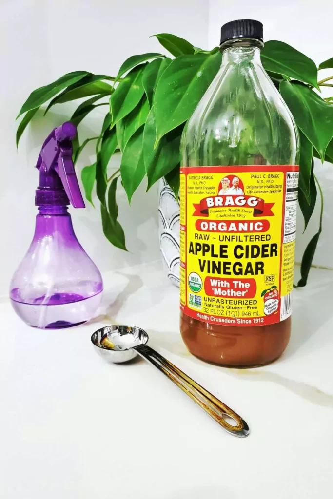 Apple Cider Vinegar Dip
