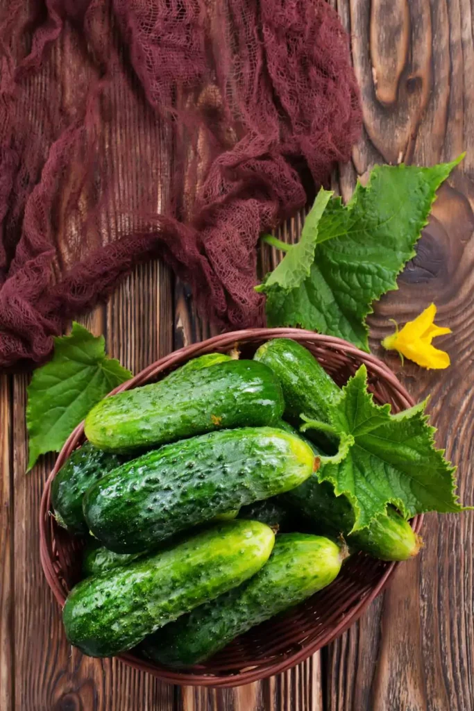Cucumbers: Cool as a Summer Breeze