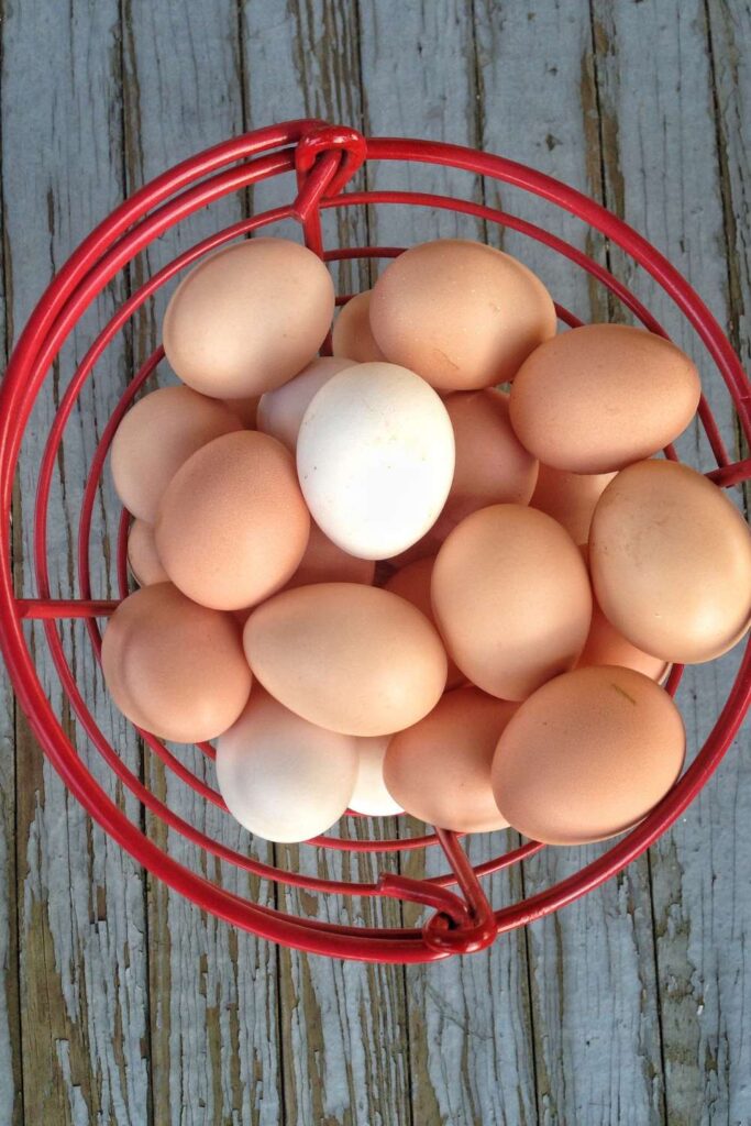 Eggs