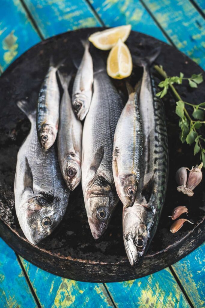 Fatty Fish = Chill Vibes