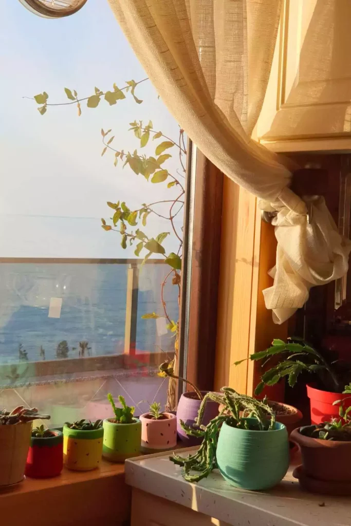 Incorporate Indoor Herb Gardens