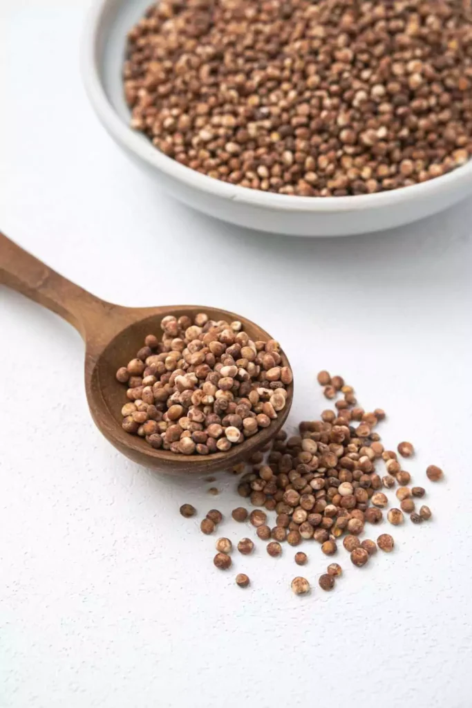Sorghum