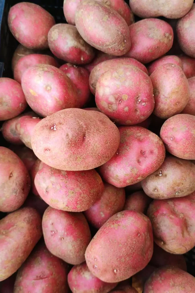 Sweet Potatoes