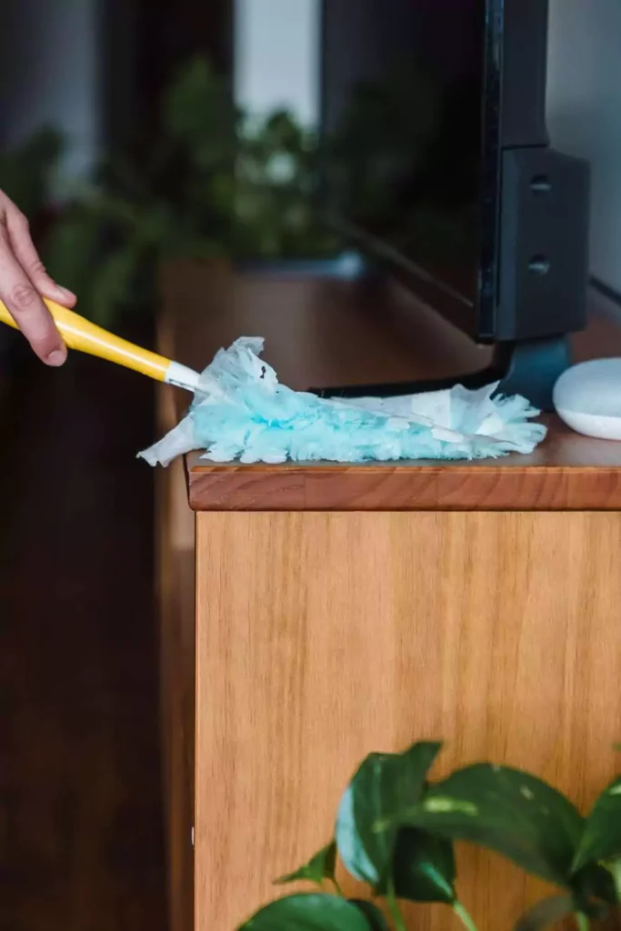 Duster - For When Dust Suddenly Appears Out of Nowhere
