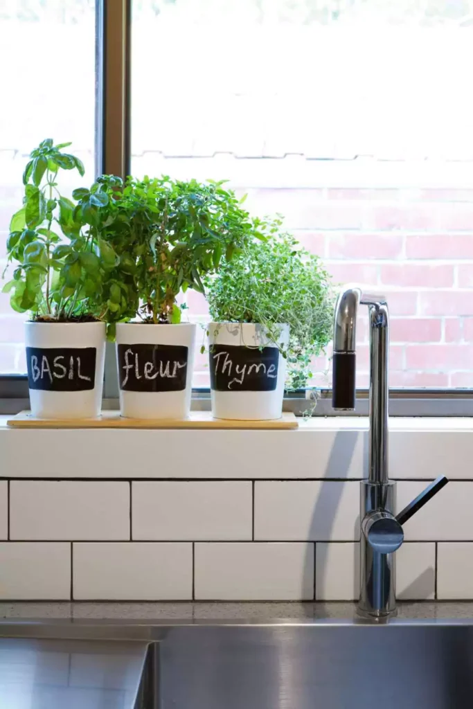 Style with House Plants Decor in Matching Pots
