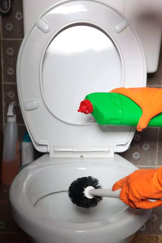 Toilet Bowl Cleaner - Freshness in a Bottle